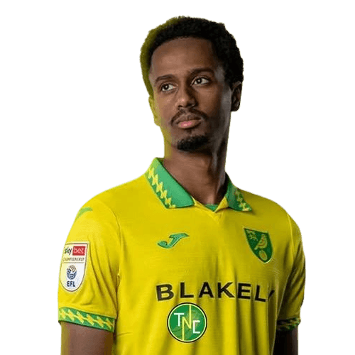 Ali Ahmed