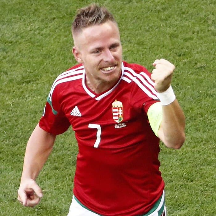 Balazs Dzsudzsak