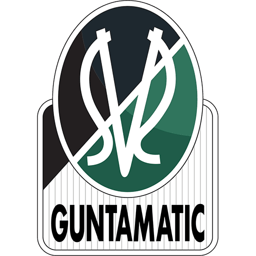 SV Ried